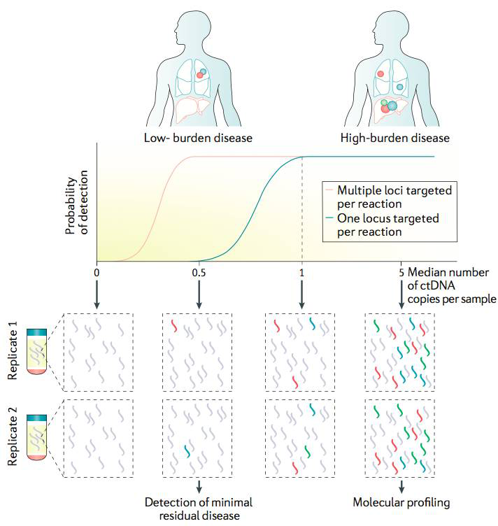 图5:ctDNA分析中重要事项,图来自Nature Reviews Cancer doi:10.1038/nrc.2017.7